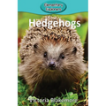 Hedgehogs - Paperback