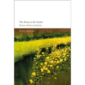 The Essay at the Limits: Poetics, Politics and Form - Paperback