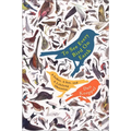 To See Every Bird on Earth: A Father, a Son, and a Lifelong Obsession - Paperback
