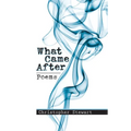 What Came After - Paperback