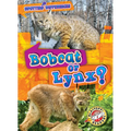Bobcat or Lynx? - Library Binding