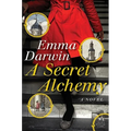 A Secret Alchemy - Paperback