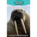 Walruses - Hardcover