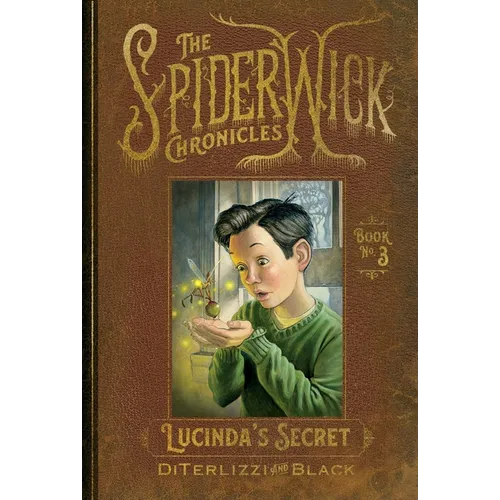 Lucinda's Secret - Paperback