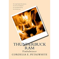 Thunderbuck Ram: Fimbulwinter - Paperback