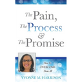 The Pain, the Process & the Promise - Paperback