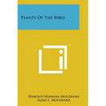 Plants Of The Bible - Paperback