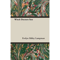 Witch Doctors Son - Paperback