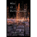 Why AI Hallucinates: The Bot-Verse Begins - Paperback