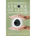 A Wonderful Stroke of Luck: From Occupational Therapist to Patient and Beyond - Paperback