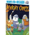 Knight Owls: Ready-To-Read Pre-Level 1 - Paperback