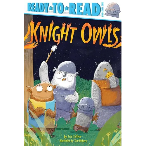 Knight Owls: Ready-To-Read Pre-Level 1 - Paperback