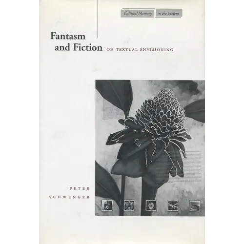 Fantasm and Fiction: On Textual Envisioning - Paperback