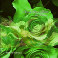 Green Roses Bloom for Icarus - Paperback