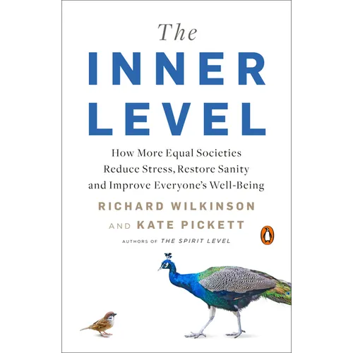 The Inner Level: How More Equal Societies Reduce Stress, Restore Sanity and Improve Everyone's Well-Being - Paperback