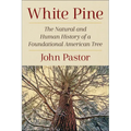 White Pine: The Natural and Human History of a Foundational American Tree - Paperback