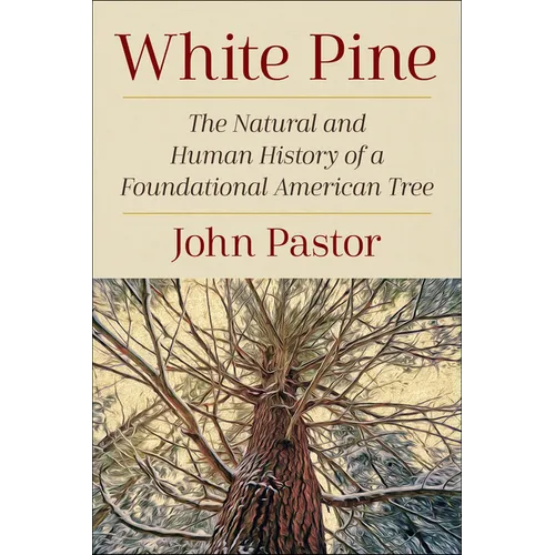 White Pine: The Natural and Human History of a Foundational American Tree - Paperback