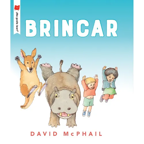 Brincar - Paperback
