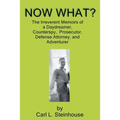 Now What?: The Irreverent Memoirs of a Daydreamer, Counterspy, Prosecutor, Defense Attorney, and Adventurer - Paperback