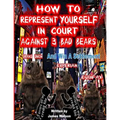 How to Represent yourself in Court Against 3 Bad Bears And win A Settlement: Win A Settlement Against Trans Union, Experian, Equifax - Paperback