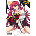 High School DXD, Vol. 3 - Paperback