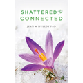 Shattered to Connected - Paperback