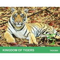 Kingdom of Tigers - Tadoba - Paperback