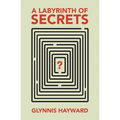 A Labyrinth of Secrets - Paperback