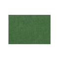 Guzzini (Emerald) Placemat