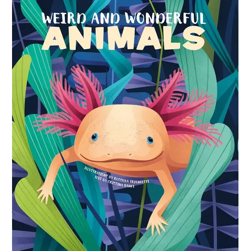 Weird and Wonderful Animals - Hardcover
