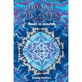 Divine Tie Dyes Made in Minutes: For Ages 8-80 - Paperback