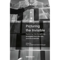 Picturing the Invisible: Exploring interdisciplinary synergies from the arts and the sciences - Paperback