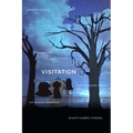 Visitation: The Conjure Work of Black Feminist Avant-Garde Cinema - Hardcover