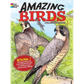 Amazing Birds Coloring Book - Paperback
