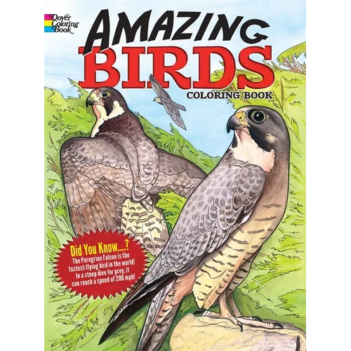 Amazing Birds Coloring Book - Paperback