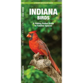 Indiana Birds: An Introduction to Familiar Species