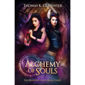 Alchemy of Souls - Paperback