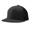 CHAMPRO BASEBALL PERFORMANCE TRUCKER SNAPBACK
