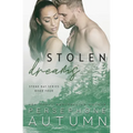 Stolen Dreams - Paperback