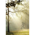Finding Bigfoot and Other Stories - Paperback