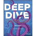 Deep Dive: Exploring the Real-World Value of Open Source Intelligence - Paperback