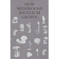 How Mushrooms Should Be Grown - Paperback