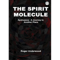 The Spirit Molecule - Paperback