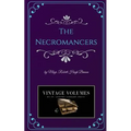 The Necromancers: A Novel of Victorian Fiction - Paperback