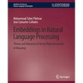 Embeddings in Natural Language Processing: Theory and Advances in Vector Representations of Meaning - Paperback