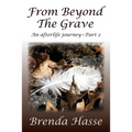 From Beyond The Grave: An afterlife journey Part 2 - Paperback