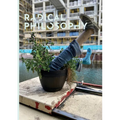 Radical Philosophy 2.12 / Spring 2022 - Paperback