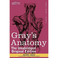 Gray's Anatomy: Descriptive and Surgical - Paperback
