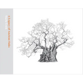 A Legacy of Ancient Oaks - Hardcover