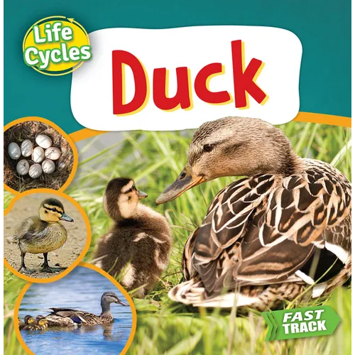Duck - Paperback